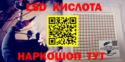индика Нальчик