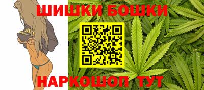 индика Нальчик