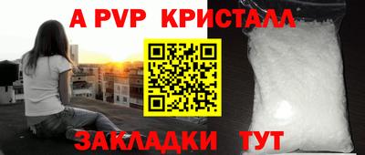 индика Нальчик