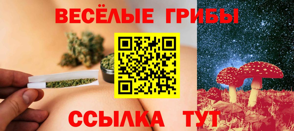 Тверь  Псилоцибиновые грибы Cubensis  закладки  Вход с VPN 
